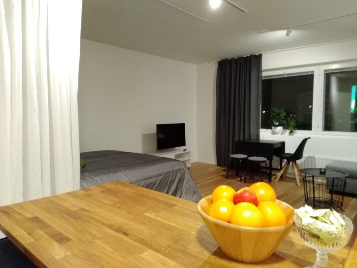 Studiohuoneisto Lohjan Keskusta 外观 照片