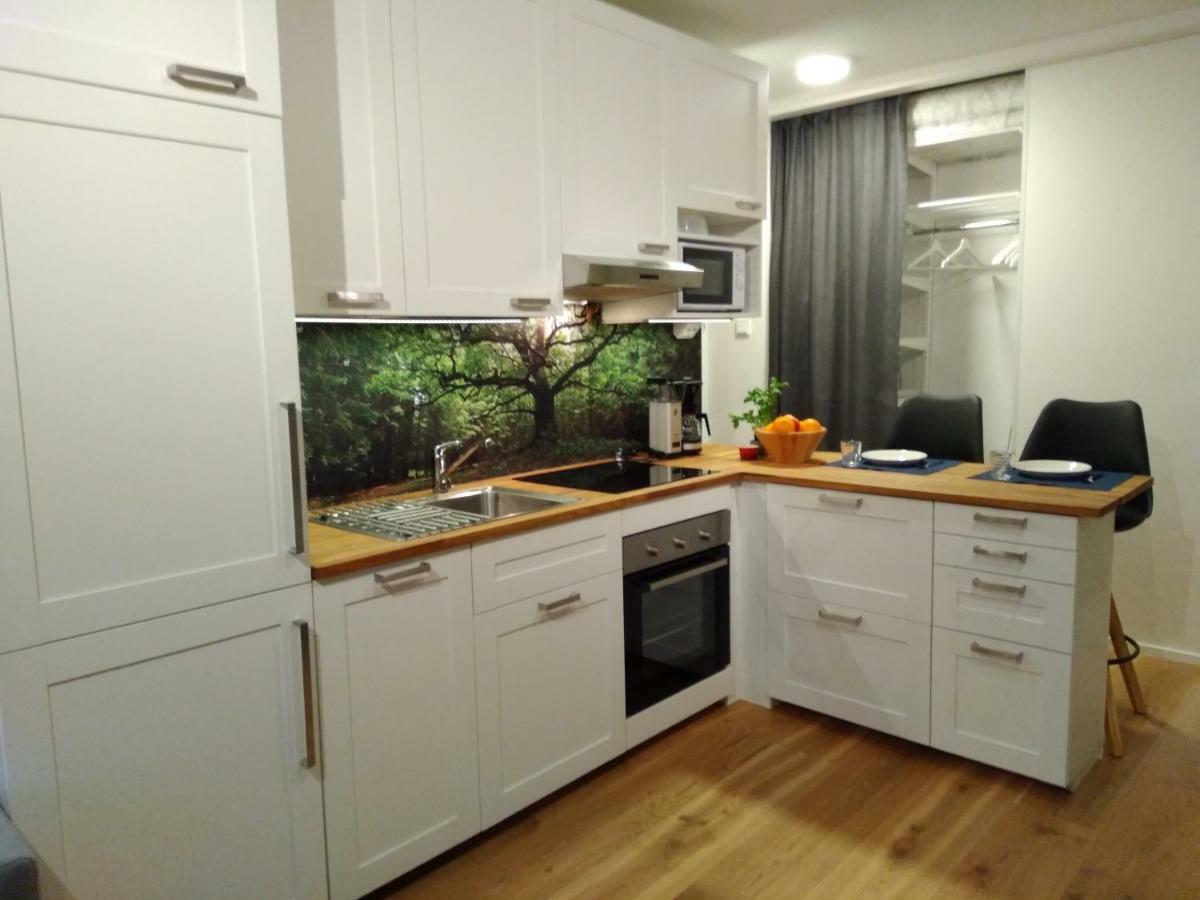 Studiohuoneisto Lohjan Keskusta 外观 照片